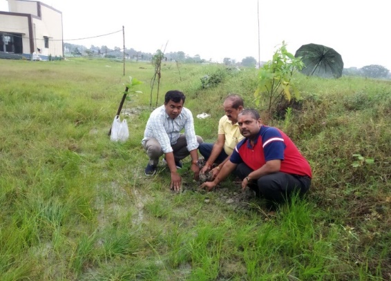 nutri-garden-and-tree-plantation-27-9-2021